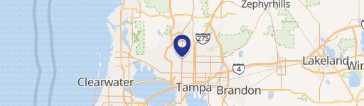 Carrollwood Endcap Retail Space