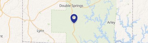 Double Springs, AL 35553