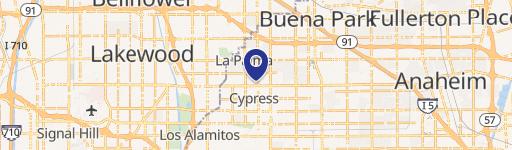 Secured Yard in Central Cypress