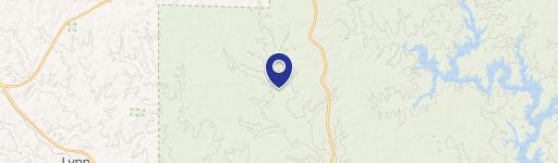 Double Springs, AL 35553