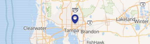 Vacant Land in Tampa