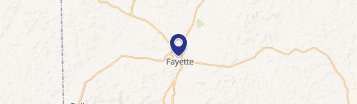 Fayette, AL 35555