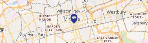 Mineola Freestanding Surgical Center