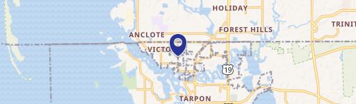 Tarpon Springs Fenced Lot