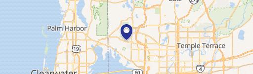 Retail Space in Westchase Tampa