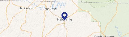 Haleyville, AL 35565