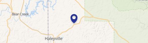 Haleyville, AL 35565