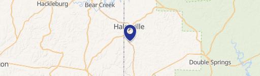 Haleyville, AL 35565