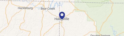 Haleyville, AL 35565