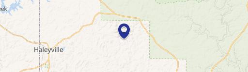 Haleyville, AL 35565