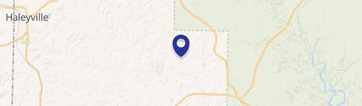 Haleyville, AL 35565