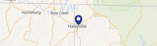 Haleyville, AL 35565