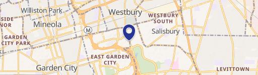 Westbury Class A Office Building