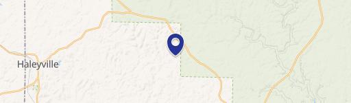 Haleyville, AL 35565