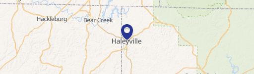 Haleyville, AL 35565