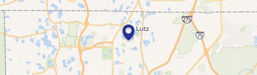 Land For Sale in Lutz