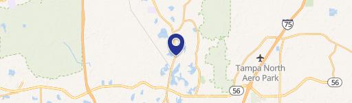 Prime Land O' Lakes Opportunity