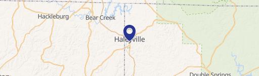 Haleyville, AL 35565