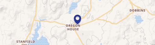 481 Acres Near Collins Lake