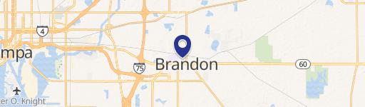 Commercial Land Near Selmon Expressway