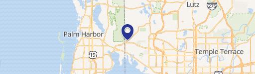 Westchase Dental Office Space Available