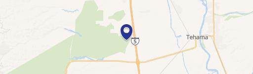 150 Acres Olive Orchard For Sale