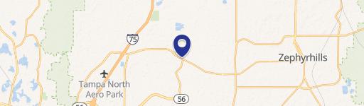 Wesley Chapel Commercial Land Available