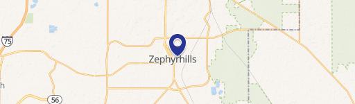 Zephyrhills Commercial Land For Sale