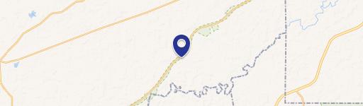 83.5 Acres Hunting Land in Canton