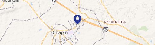Chapin Land For Sale