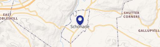 Undeveloped Land in Schoharie, NY