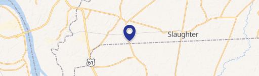 Prime Land in Zachary