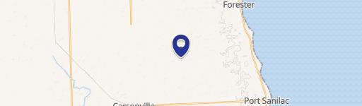 Sanilac Twp Land For Sale