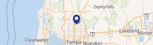 Retail Property Near USF