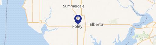 Commercial Lots in Foley