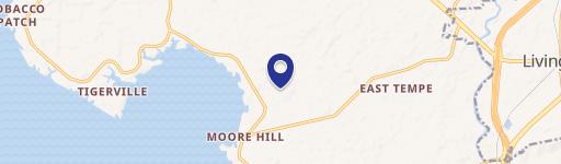 Vacant Lots Near Lake Livingston