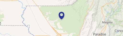 Vast Land with Creek Access