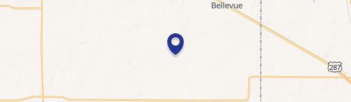 Bellevue, TX Land for Sale