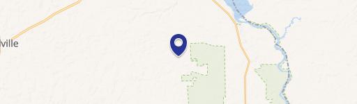 Pine Treed Tracts For Sale