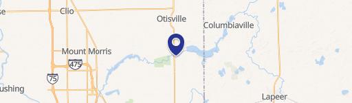 One Acre Parcel in Davison