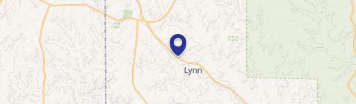 Lynn, AL 35575