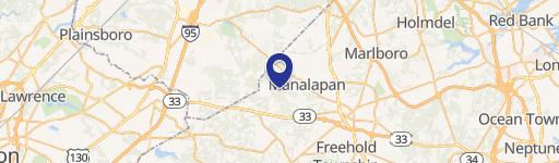 Commercial Lot in Manalapan