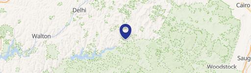 Catskill Mountains Land Parcel