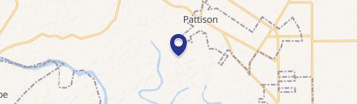 Land in Pattison, Texas