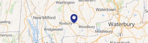 Roxbury Specialty Property For Sale