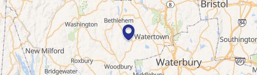 Woodbury Specialty Property For Sale