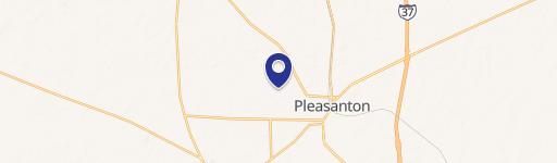 Pleasanton Specialty Property For Sale