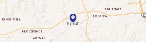 Parrish, AL 35580