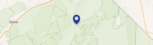 17.21 Acres Near Brightline West