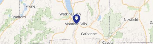 Commercial Property in Montour Falls